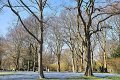 Fruehling2012   036